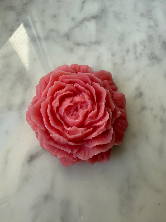 Peonia