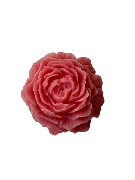 Peonia